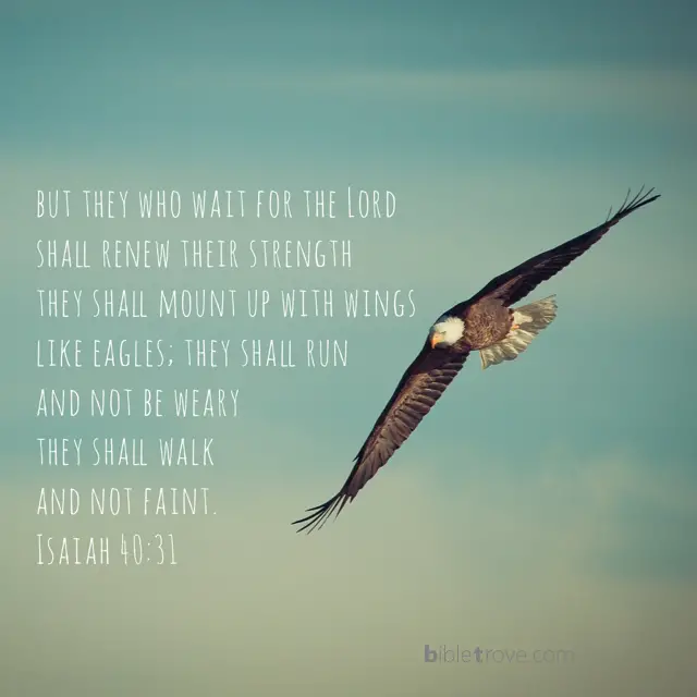 isaiah 40:31