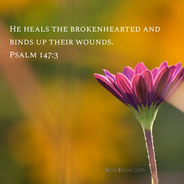 psalm 147:3