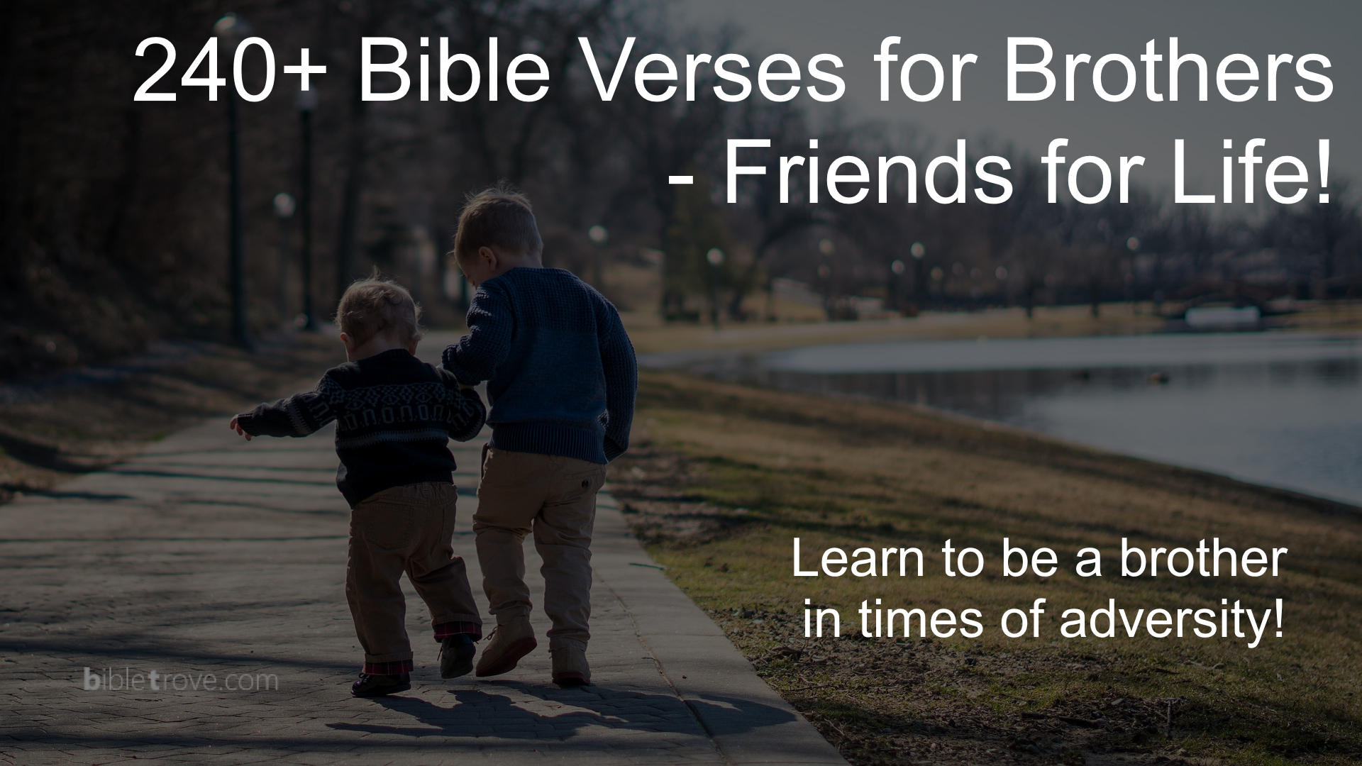 240+ Bible Verses For Brothers - Friends For Life!